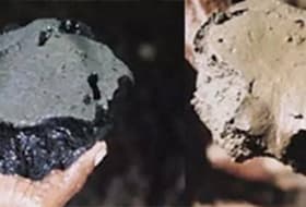 生物清淤
