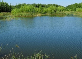 湖泊水库达标治理